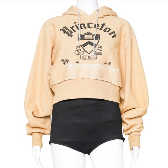 Champion Princeton cropped hoodie small - Picture 1 of 10